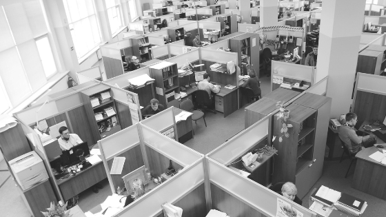 empleo redes sociales
