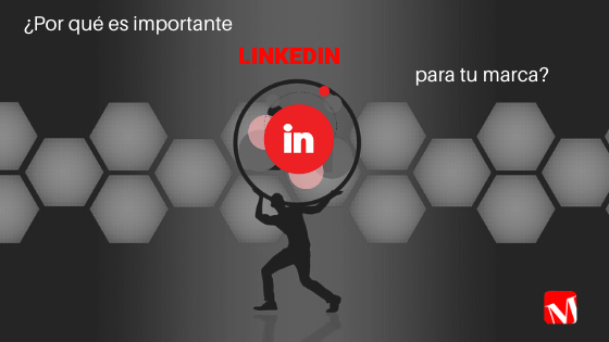 LinkedIn, especialista en marketing digital