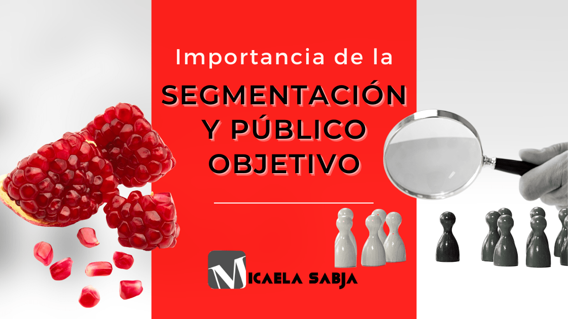segmentación y público objetivo